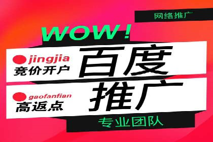 SEM代运营公司案例：行业应用解析